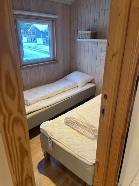 Storebaelt Camping Korsør Dış mekan fotoğraf