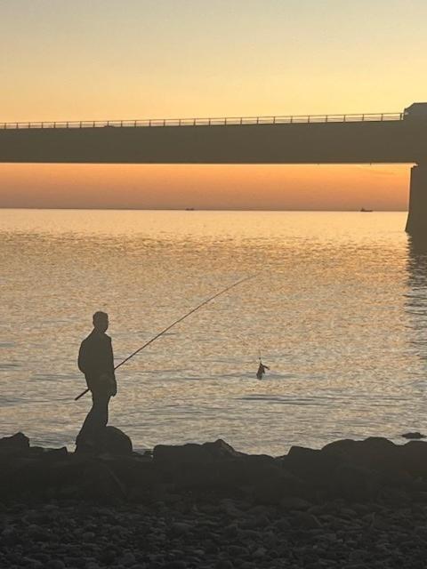 Storebaelt Camping Korsør Dış mekan fotoğraf